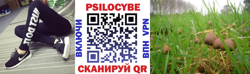 shop формула  купить наркоту  Сланцы  Галлюциногенные грибы Magic Shrooms 
